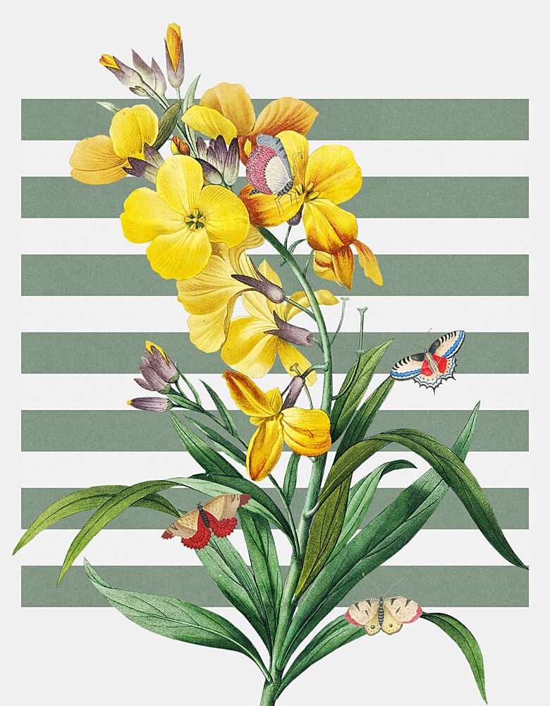 Yellow Blooms and Butterflies art print by Marja van den Hurk for $57.95 CAD