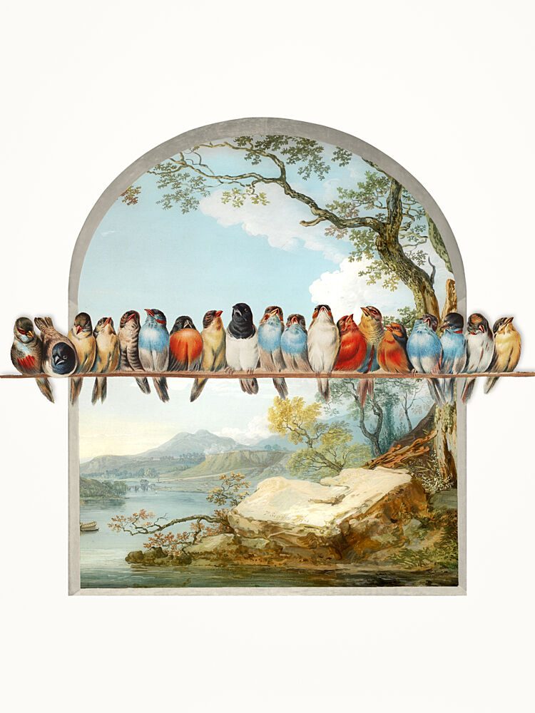Birds over Serene Landscape art print by Marja van den Hurk for $57.95 CAD
