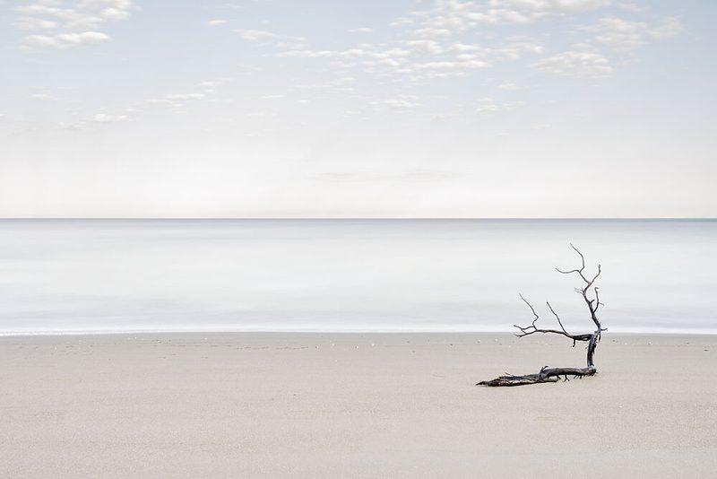 Beach Driftwood Serenity art print by Giuseppe Galli for $57.95 CAD