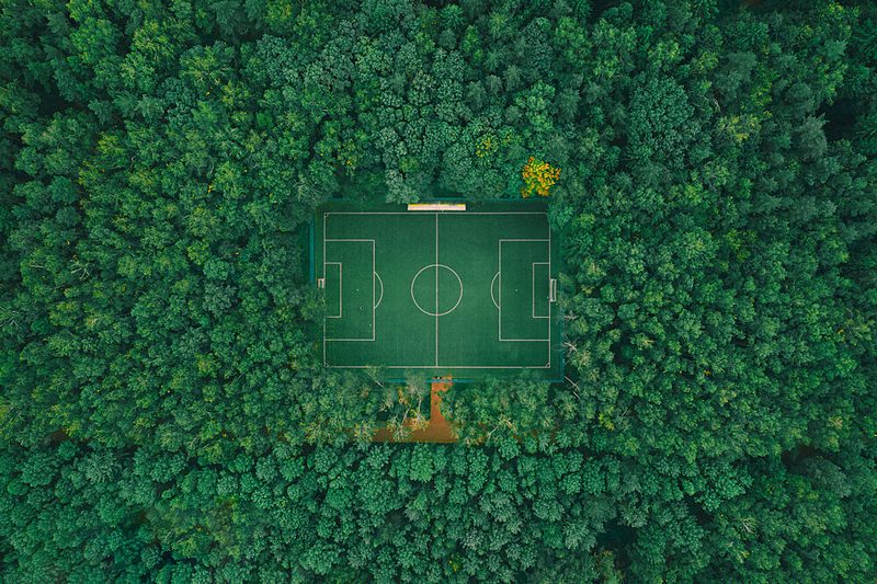 Forest Football Field art print by Carmine Chiriaco for $57.95 CAD