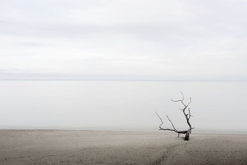 Minimalist Beach Tree art print by Giuseppe Galli for $57.95 CAD