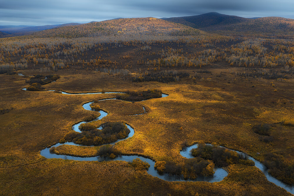 Golden Meandering River art print by Uu for $57.95 CAD
