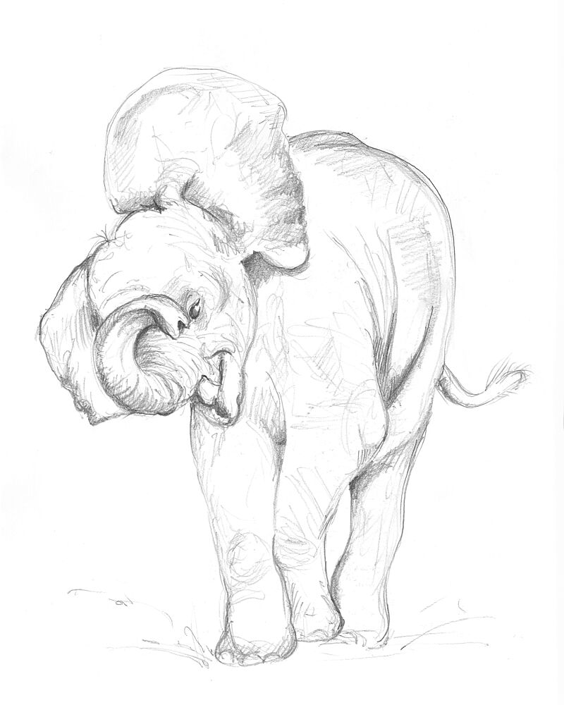 Baby Elephant 02 art print by Isabelle Brent for $57.95 CAD