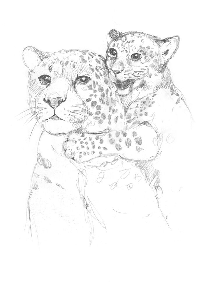 Leopards art print by Isabelle Brent for $57.95 CAD