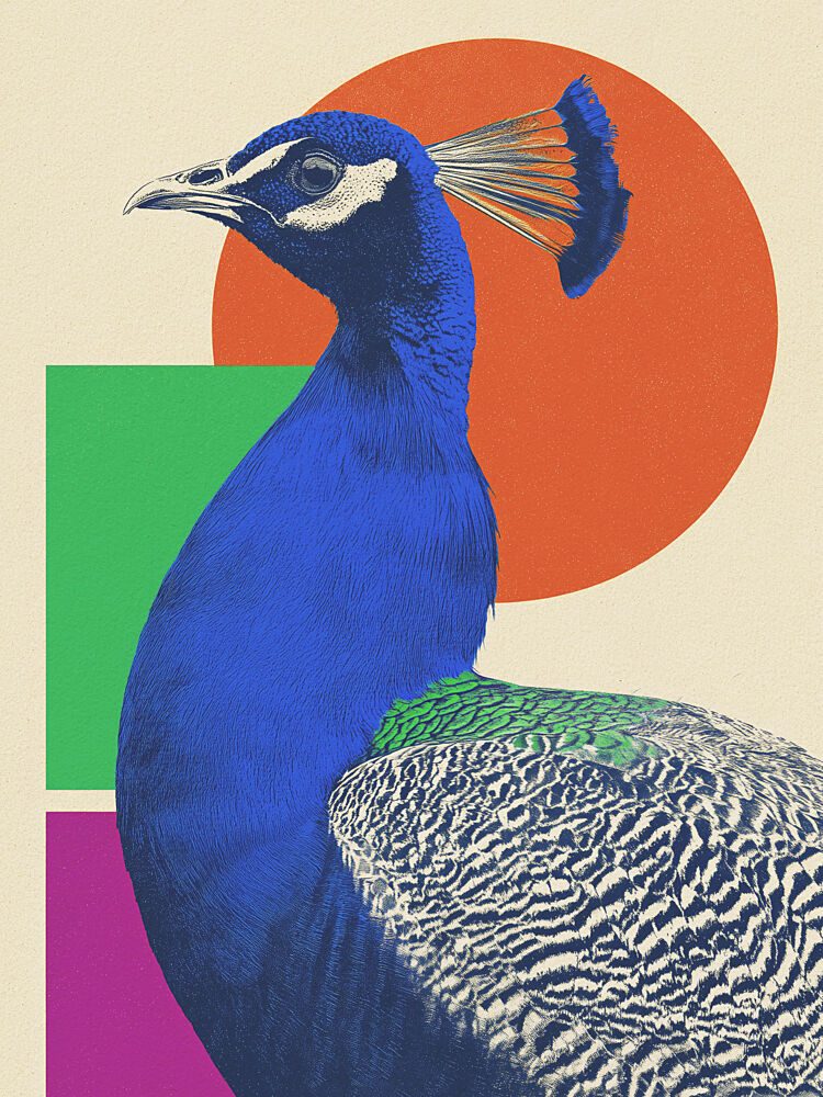 Vibrant Peacock Profile art print by Andreas Magnusson for $57.95 CAD