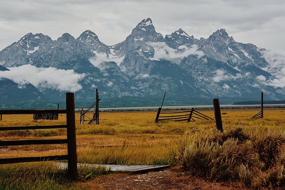 Majestic Mountains Golden Field art print by del Mundo Portraits for $57.95 CAD