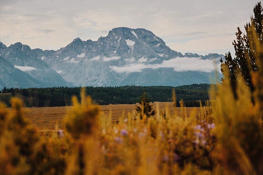 Majestic Mountain Landscape art print by del Mundo Portraits for $57.95 CAD