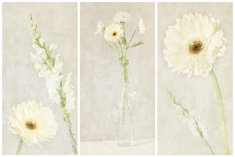 Soft White Blooms art print by Gustav Davidsson for $57.95 CAD