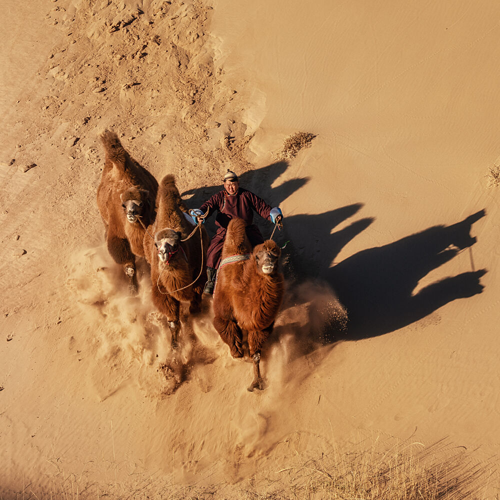 Desert Camel Caravan art print by Antoni Figueras for $57.95 CAD