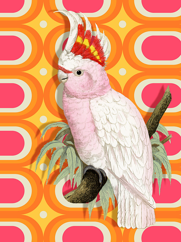 Pink Cockatoo Retro Pop art print by Marja van den Hurk for $57.95 CAD