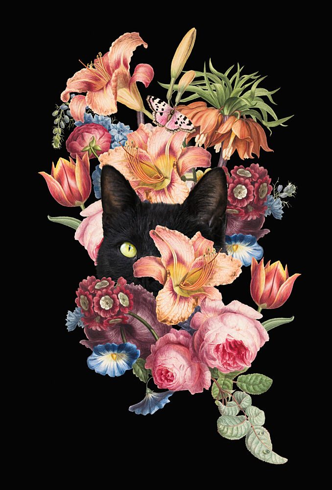 Peeking Cat Among Blooms art print by Marja van den Hurk for $57.95 CAD