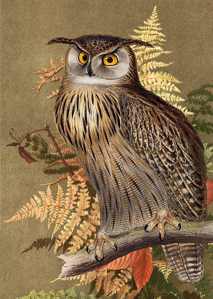 Watchful Horned Owl art print by Marja van den Hurk for $57.95 CAD