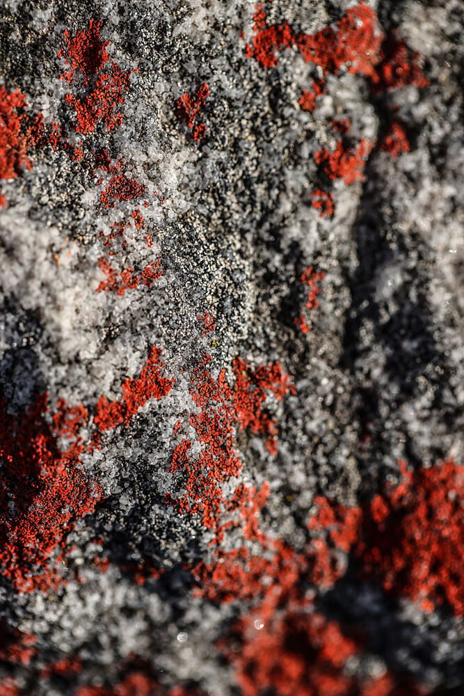 Natures Patina art print by Shot by Clint for $57.95 CAD