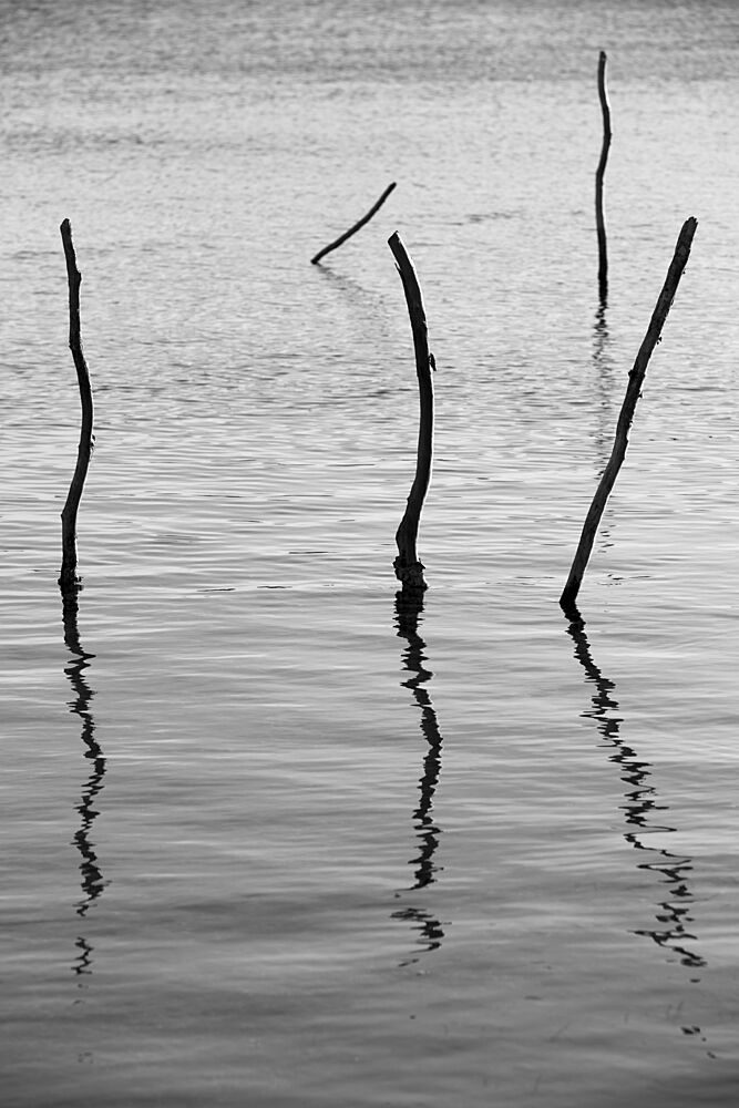 Reflected Stillness art print by Shot by Clint for $57.95 CAD