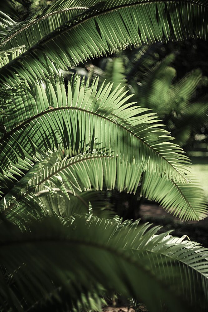 Light Within Green art print by Shot by Clint for $57.95 CAD