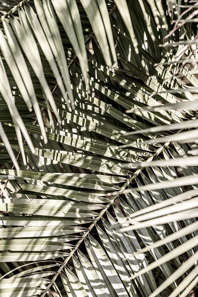 Graphic Breeze art print by Shot by Clint for $57.95 CAD