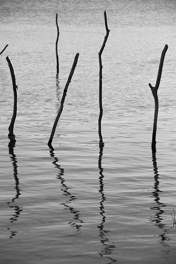 Sticks and Shadows art print by Shot by Clint for $57.95 CAD