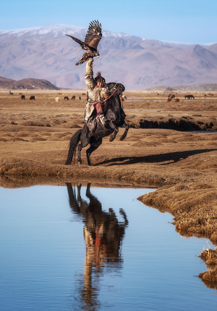 Golden Eagle Hunter Reflection art print by Antoni Figueras for $57.95 CAD