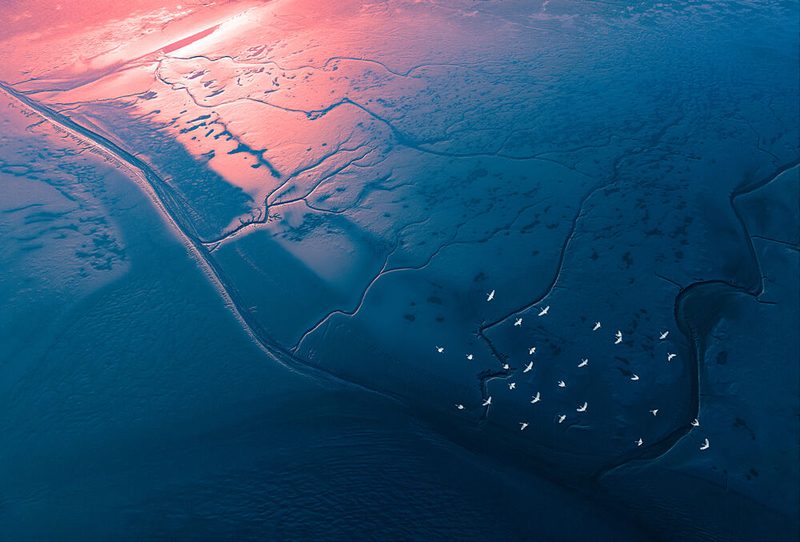 Flying Birds Tidal Glow art print by Songlin Xu for $57.95 CAD