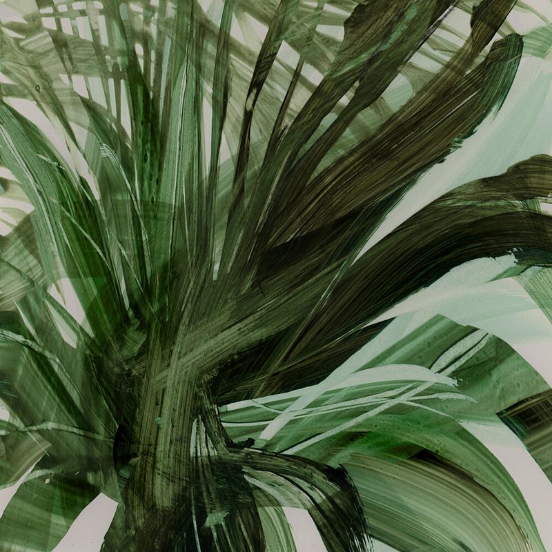 Palms art print by Dan Hobday for $57.95 CAD