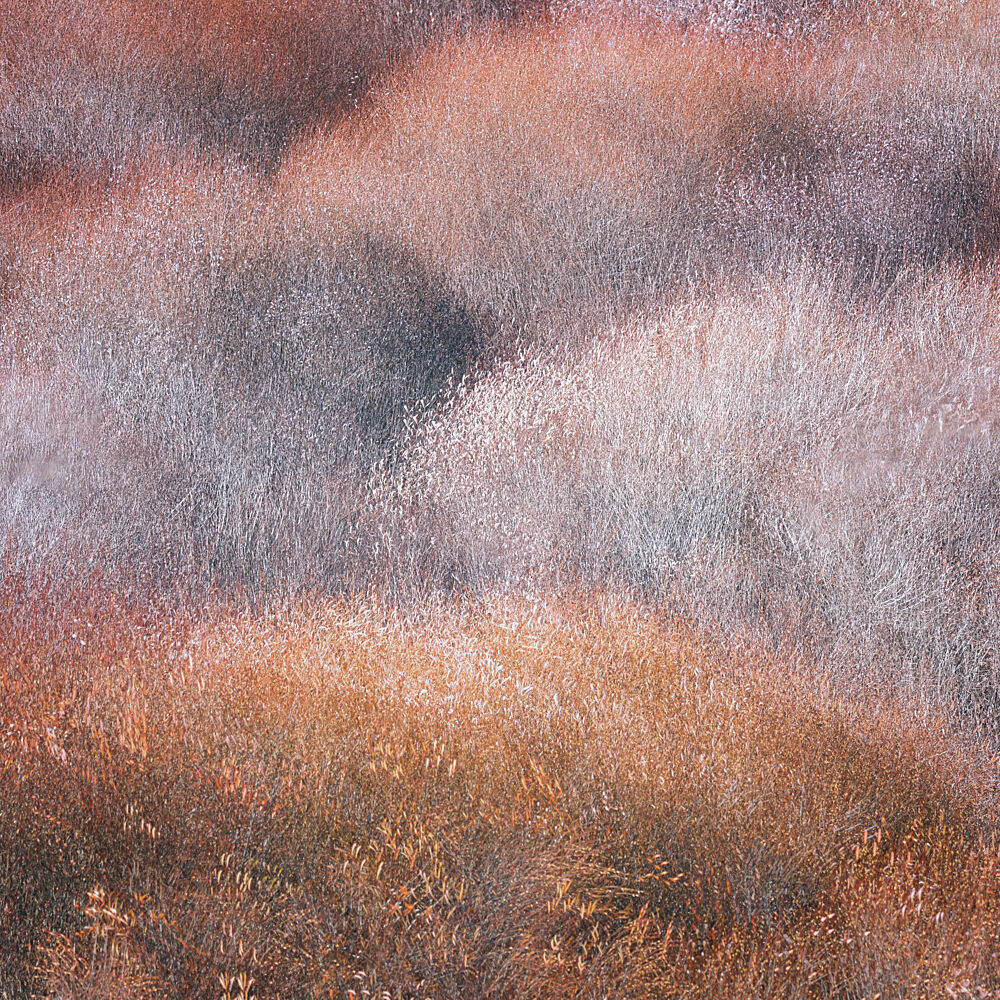 Earthy Textured Landscape art print by Dawn X W for $57.95 CAD