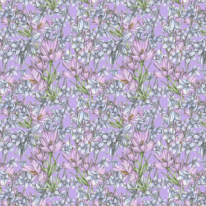 Gentle Lavender Blooms art print by Cecilia Battaini for $57.95 CAD