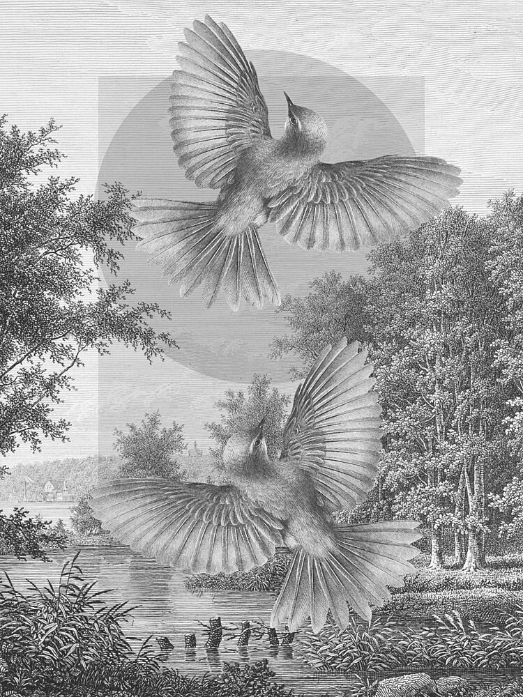 Birds over Serene Lake art print by Marja van den Hurk for $57.95 CAD