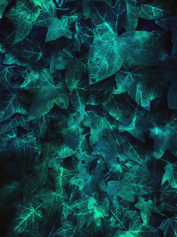 Glowing Teal Leaves art print by Angelo Cerantola for $57.95 CAD
