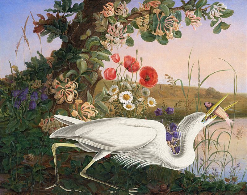 Egrets Pondside Feast art print by Marja van den Hurk for $57.95 CAD