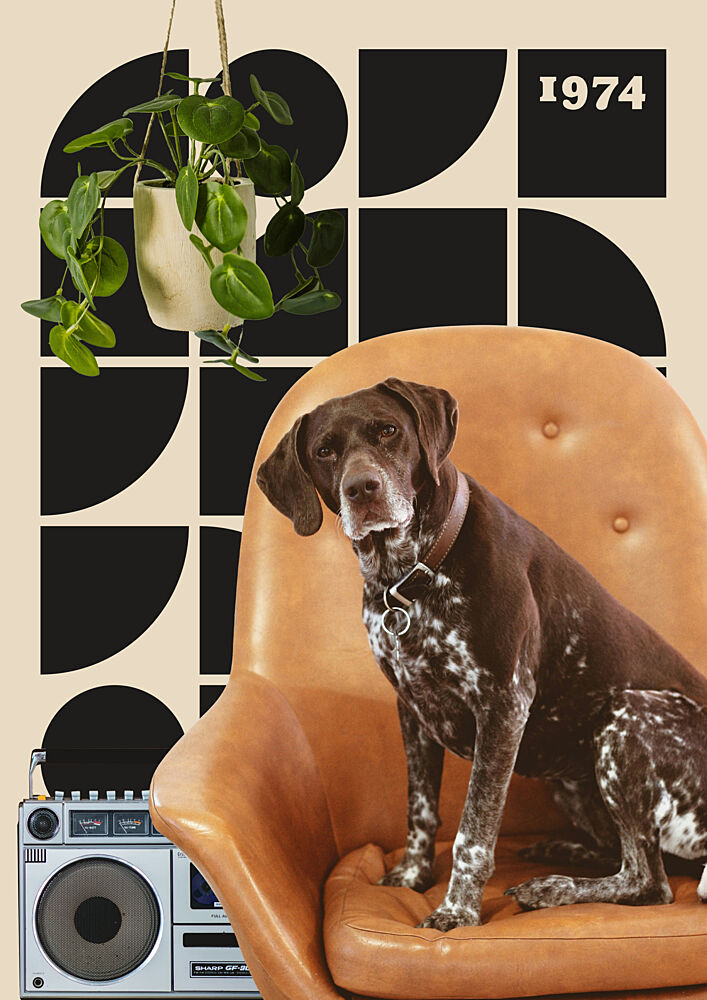 Groovy Dog in Chair art print by Daniel Donocik for $57.95 CAD