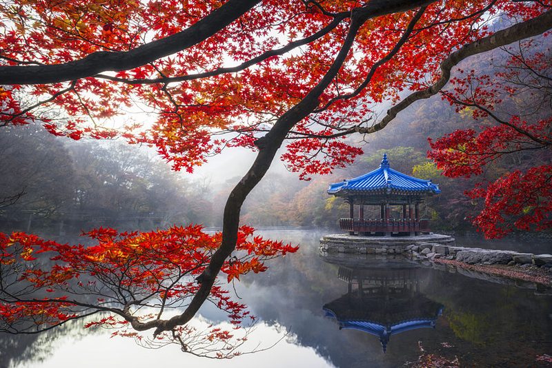 Tranquil Autumn Pagoda art print by Tiger Seo for $57.95 CAD