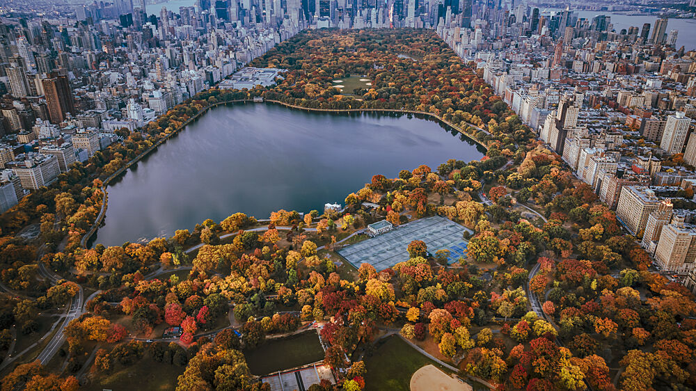 Central Park Fall Foliage art print by Wei David Dai for $57.95 CAD