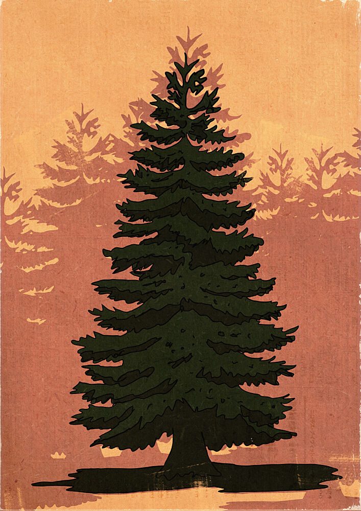 Evergreen Forest Glow art print by Nicholas for $57.95 CAD
