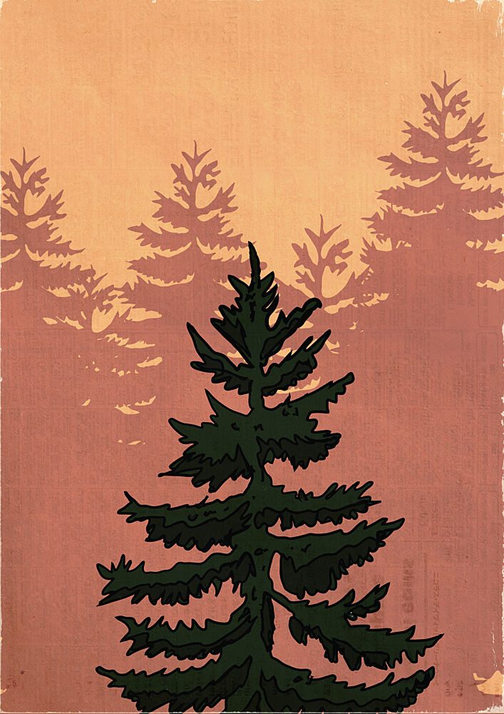 Misty Evergreen Forest art print by Nicholas for $57.95 CAD