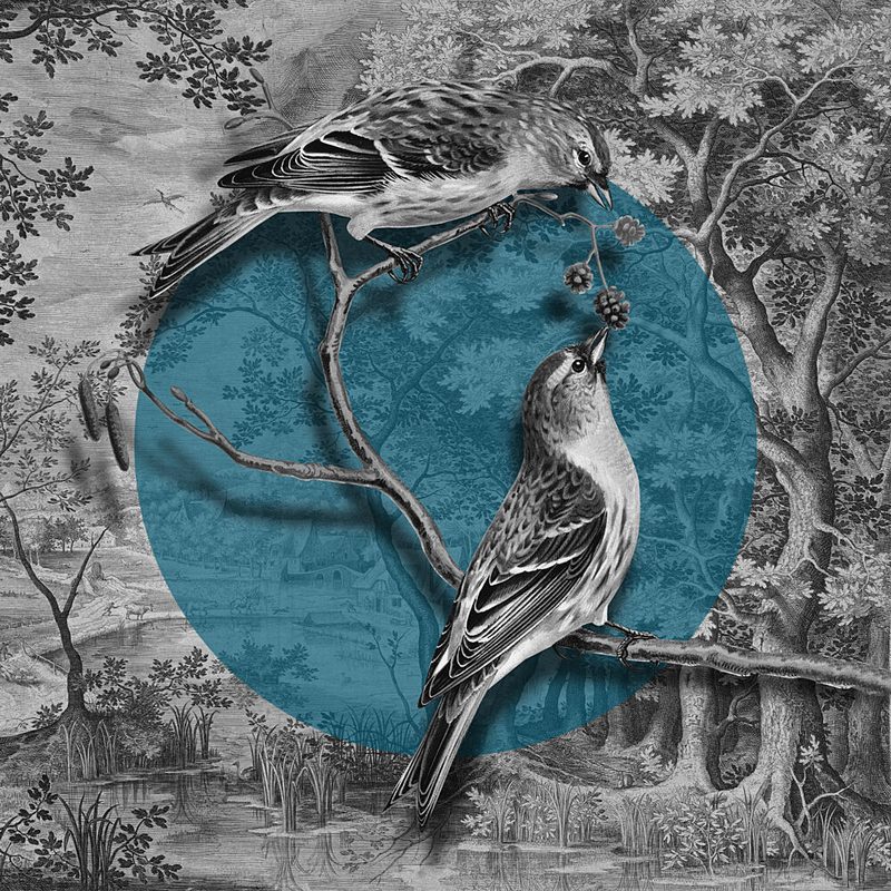 Woodland Birds Teal Accent art print by Marja van den Hurk for $57.95 CAD