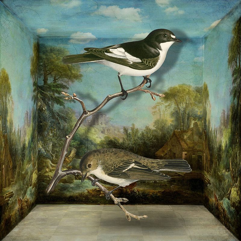 Painted Birds in Landscape art print by Marja van den Hurk for $57.95 CAD