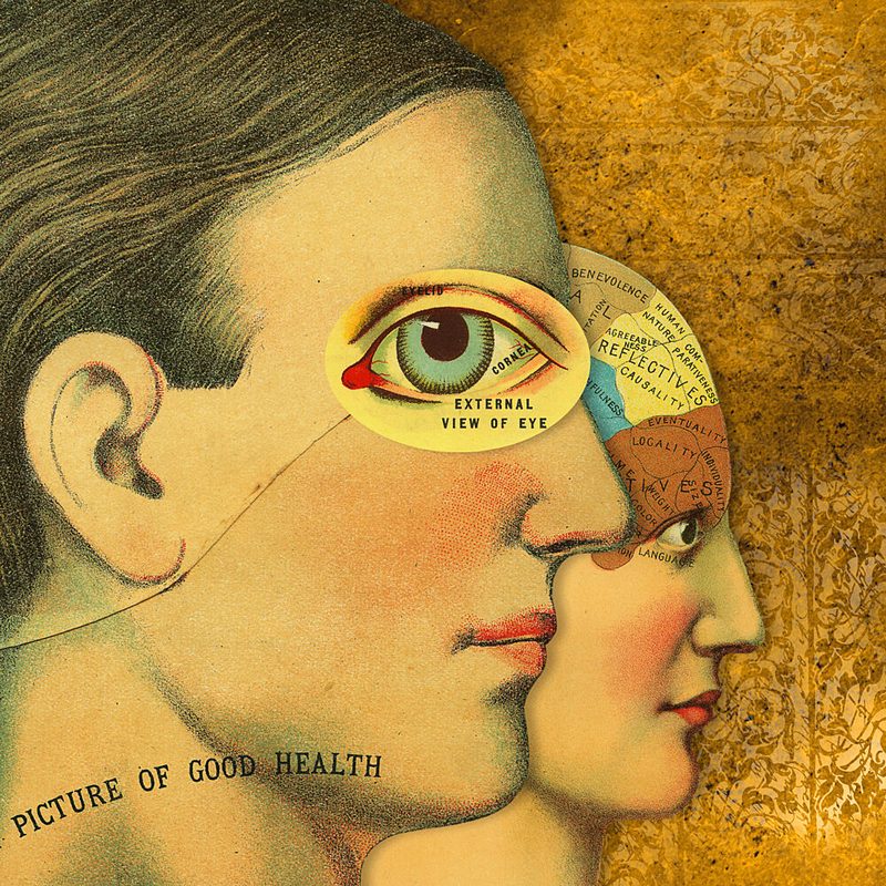 Good Health Phrenology art print by Marja van den Hurk for $57.95 CAD