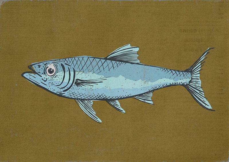 Stylized Blue Fish art print by Nicholas for $57.95 CAD