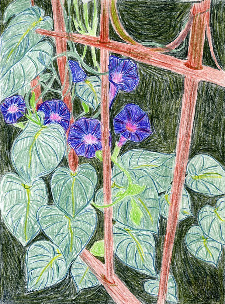Vibrant Morning Glories art print by Viktoriia Saunina for $57.95 CAD