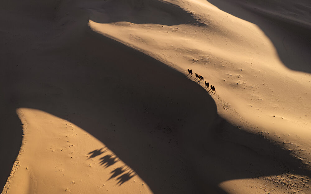 Shadows of the Gobi art print by Antoni Figueras for $57.95 CAD