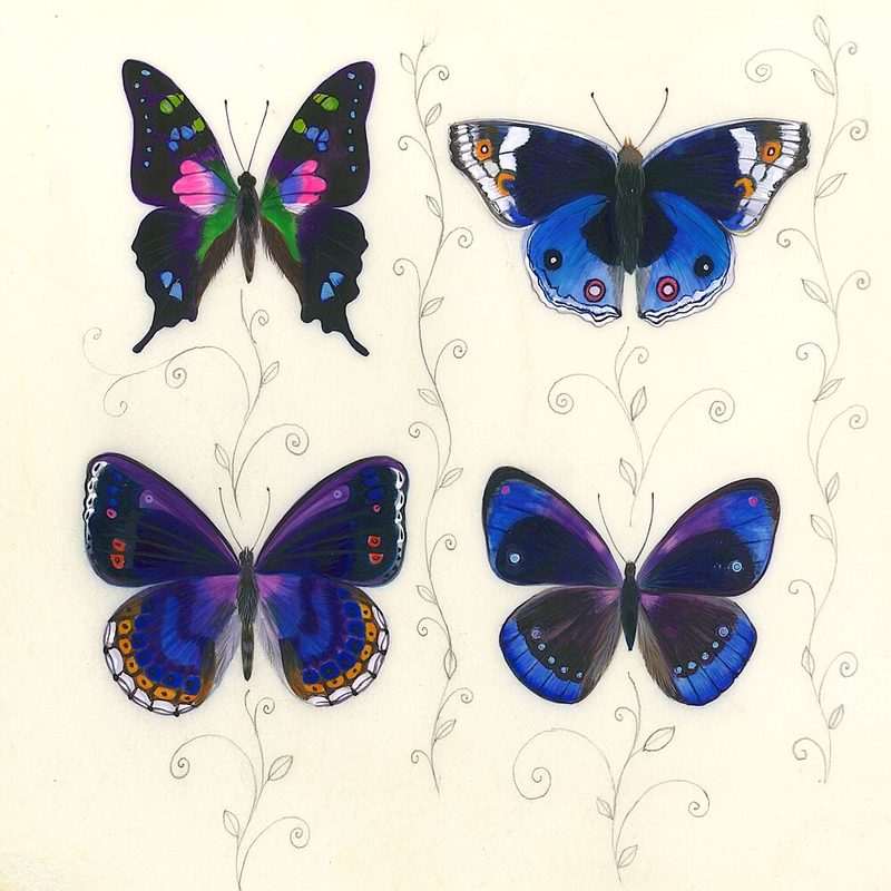 Dark Butterflies art print by Isabelle Brent for $57.95 CAD