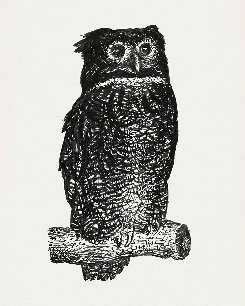 Owl art print by Leo Gestel for $57.95 CAD