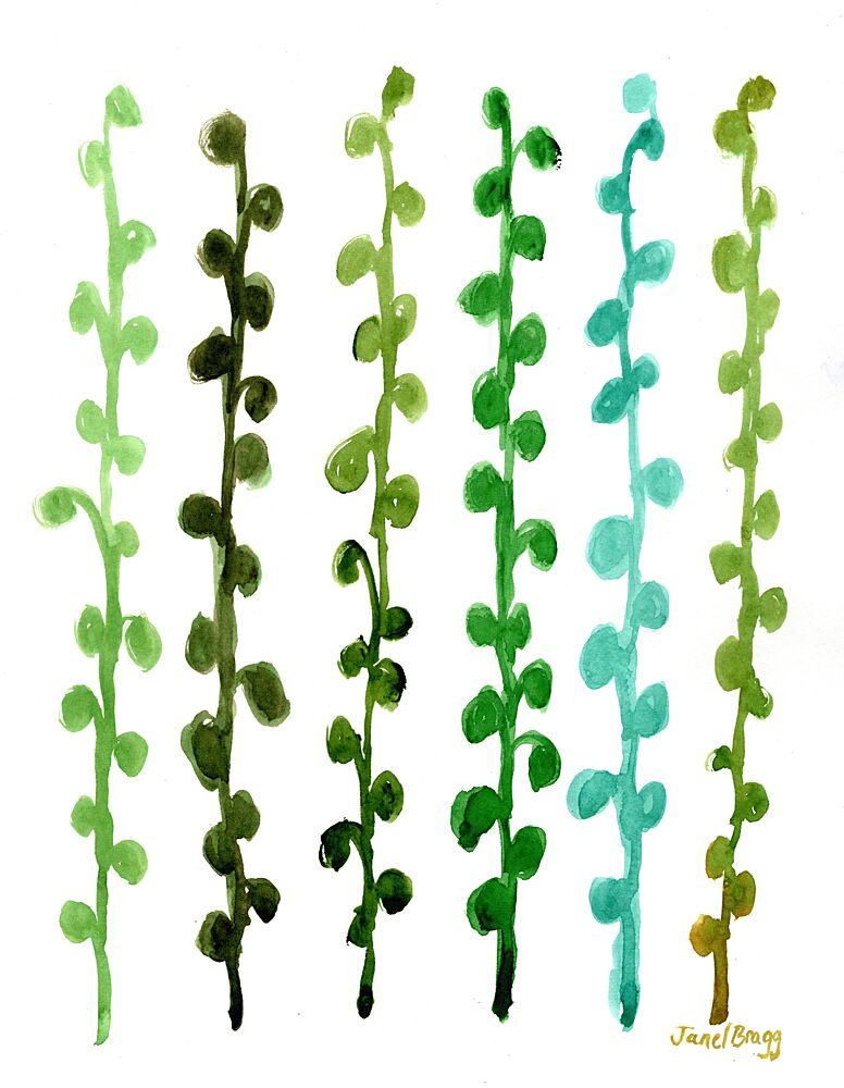 Green Botanical Stems art print by Janel Bragg for $57.95 CAD