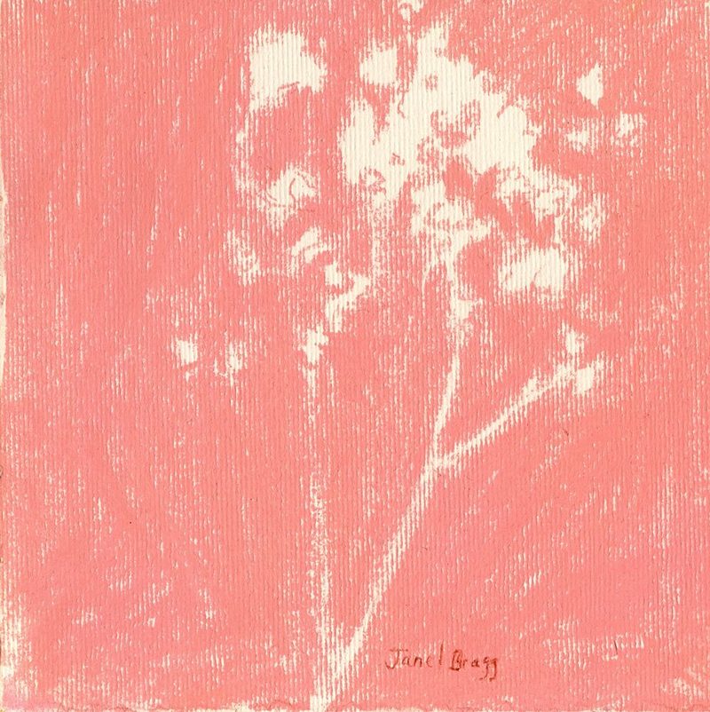 Delicate Peach Bloom art print by Janel Bragg for $57.95 CAD