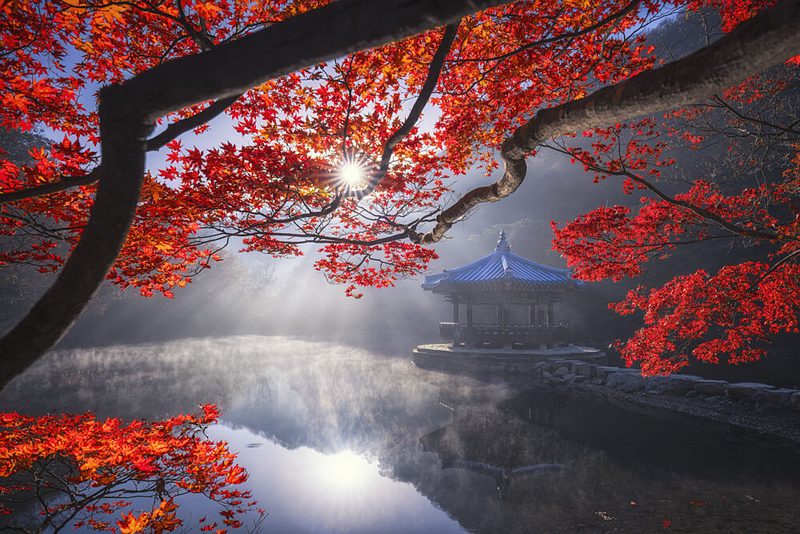 Misty Autumn Pagoda art print by Tiger Seo for $57.95 CAD