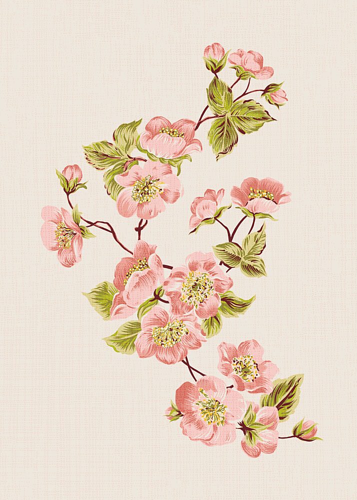 Delicate Pink Blossoms art print by Alexandra Weise for $57.95 CAD