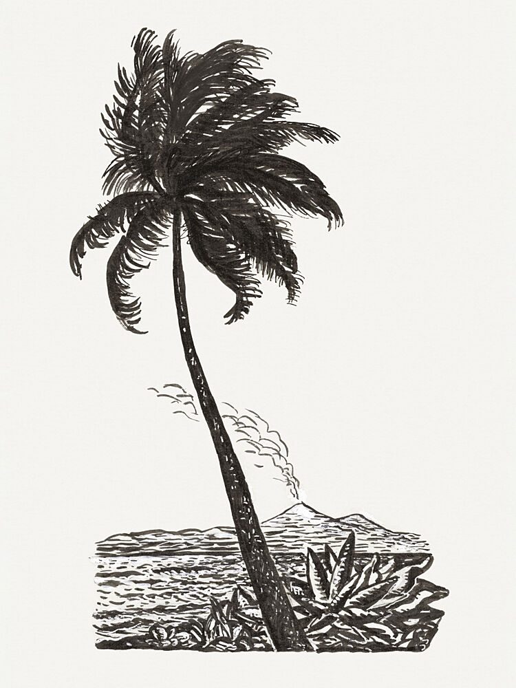 Palm Tree with an Island Ca. 18911941 art print by Leo Gestel for $57.95 CAD