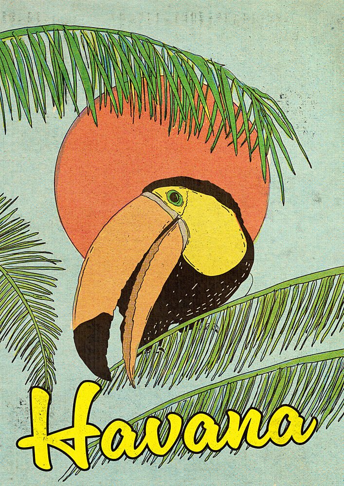 Vintage Havana Toucan art print by Nicholas for $57.95 CAD