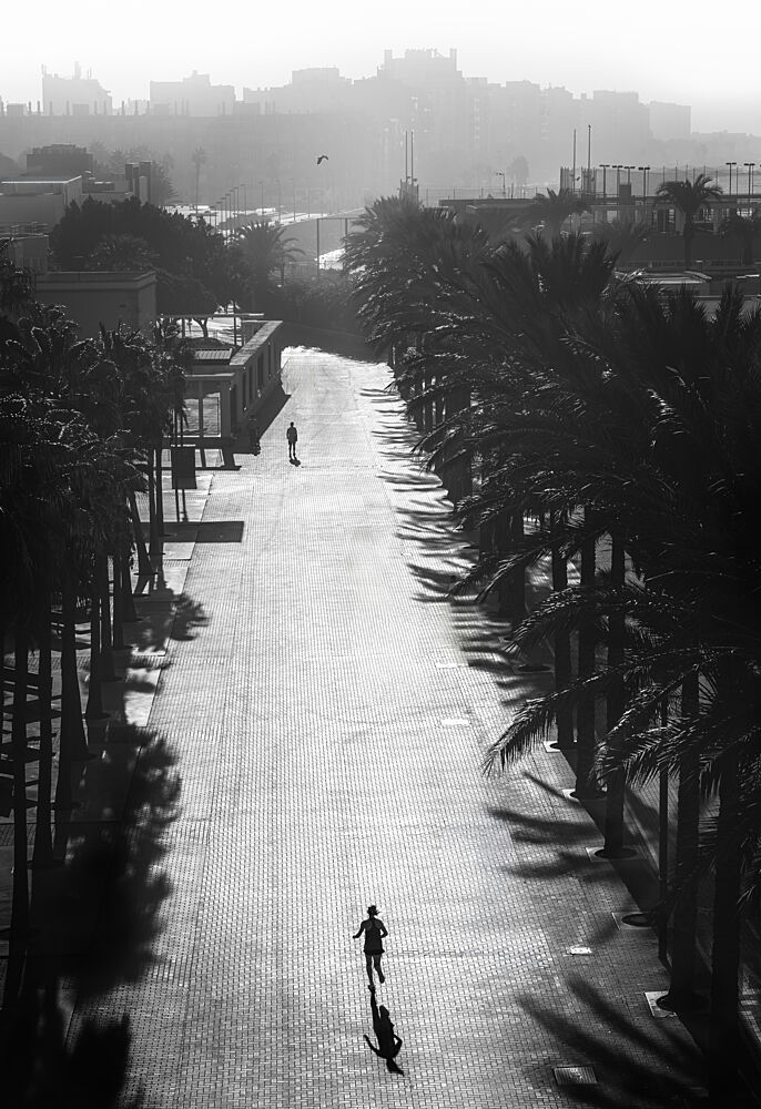 Palm Lined Urban Run art print by Jose Mesas for $57.95 CAD