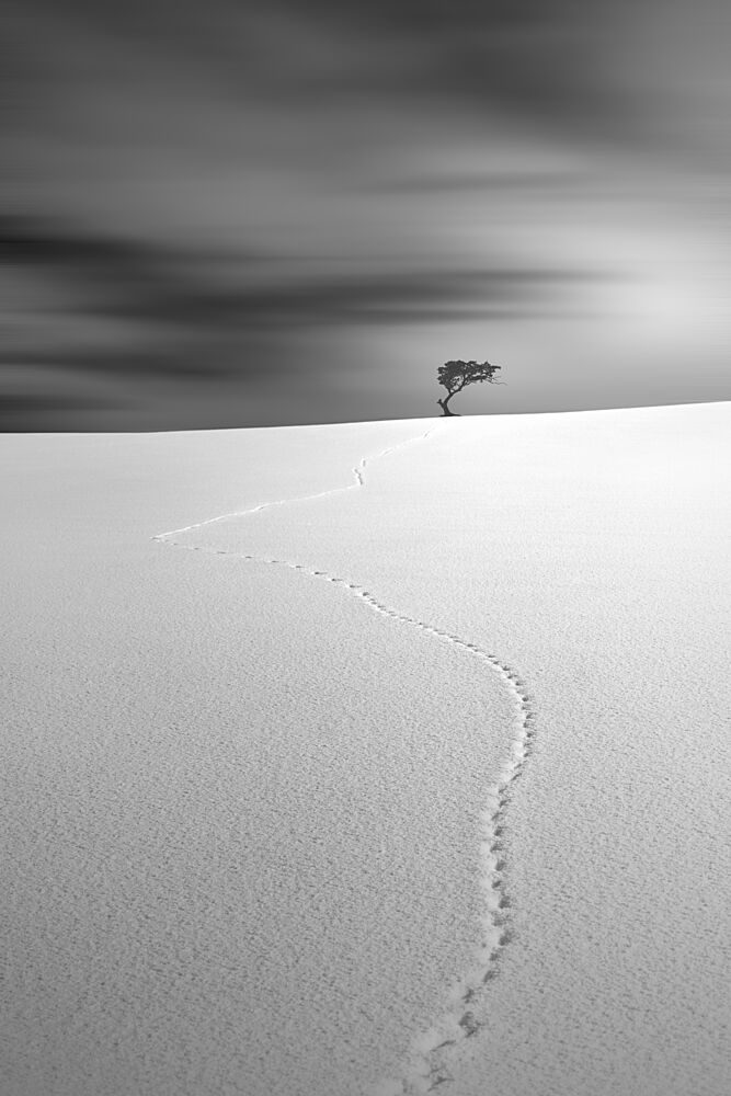 Desert Solitude Path art print by Jana Luo for $57.95 CAD